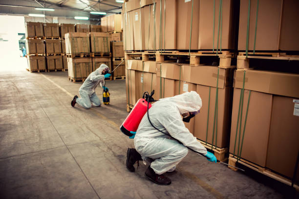 Best Pest Control Treatment  in Melville, NY