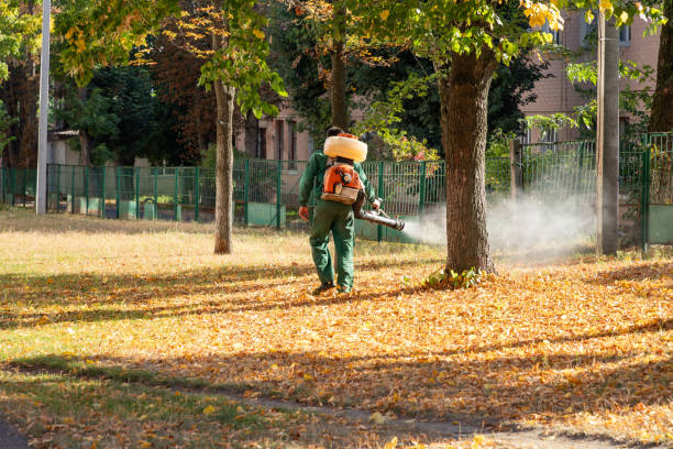 Best Exterminator Services  in Melville, NY